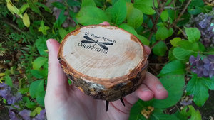 Ladybird on Natural Wood
