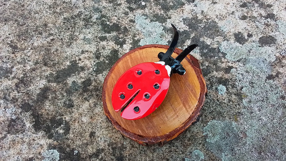 Ladybird on Natural Wood