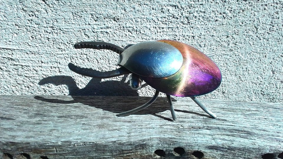 Rainbow Stag Beetle (rainbow abdomen & wingcases) (MADE TO ORDER)
