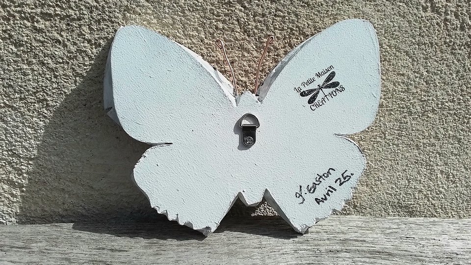 Chinese Garden Butterfly 