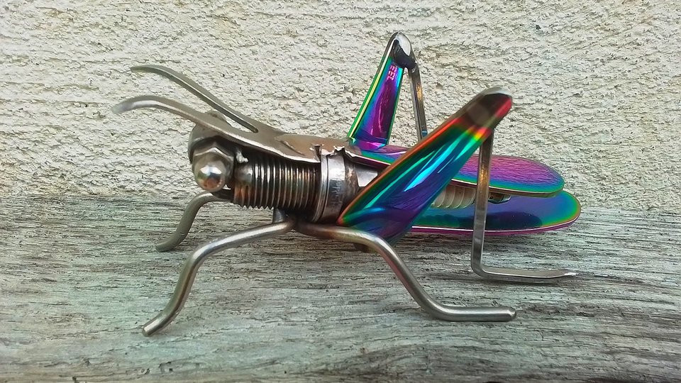 Rainbow Grasshopper (MADE TO ORDER)