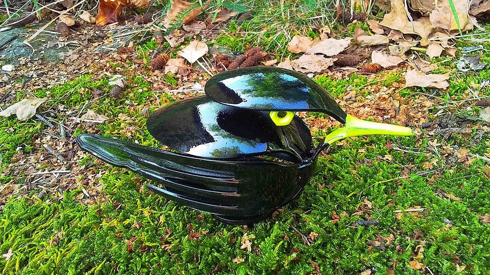 Blackbirds
