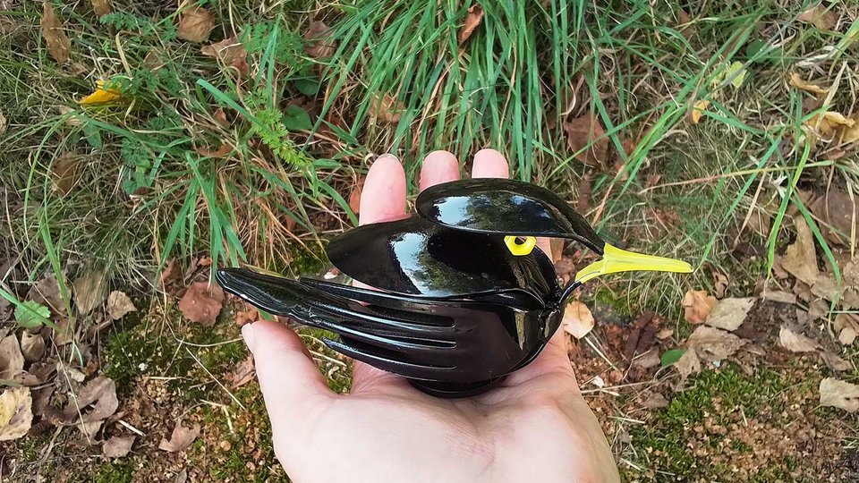 Blackbirds