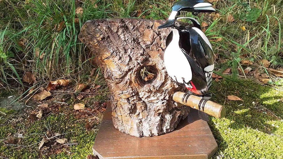 Large Spotted Woodpecker (on tree) (SOLD)