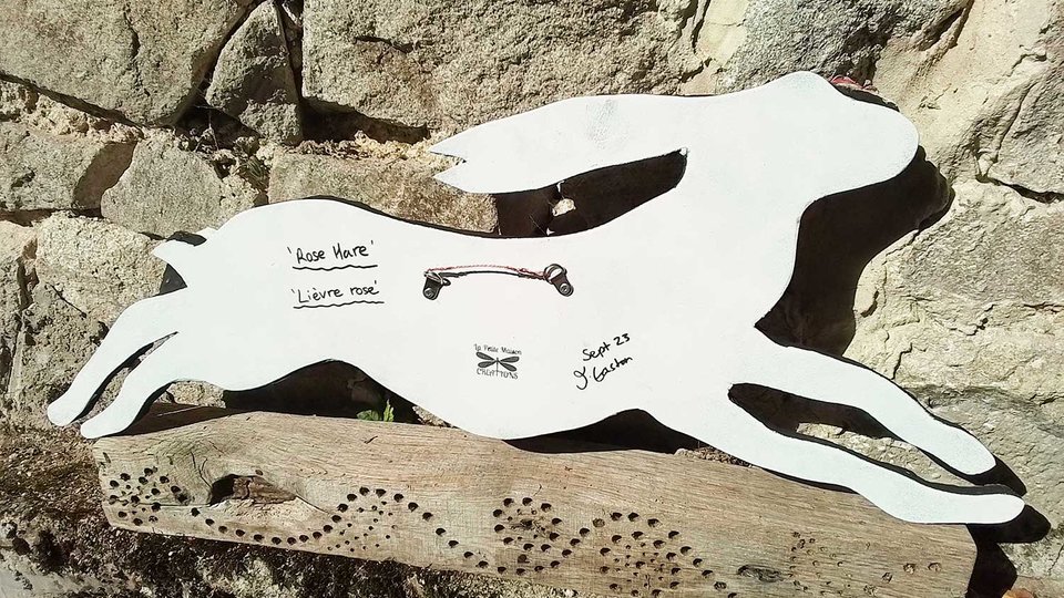 Large Rose Hare (SOLD)