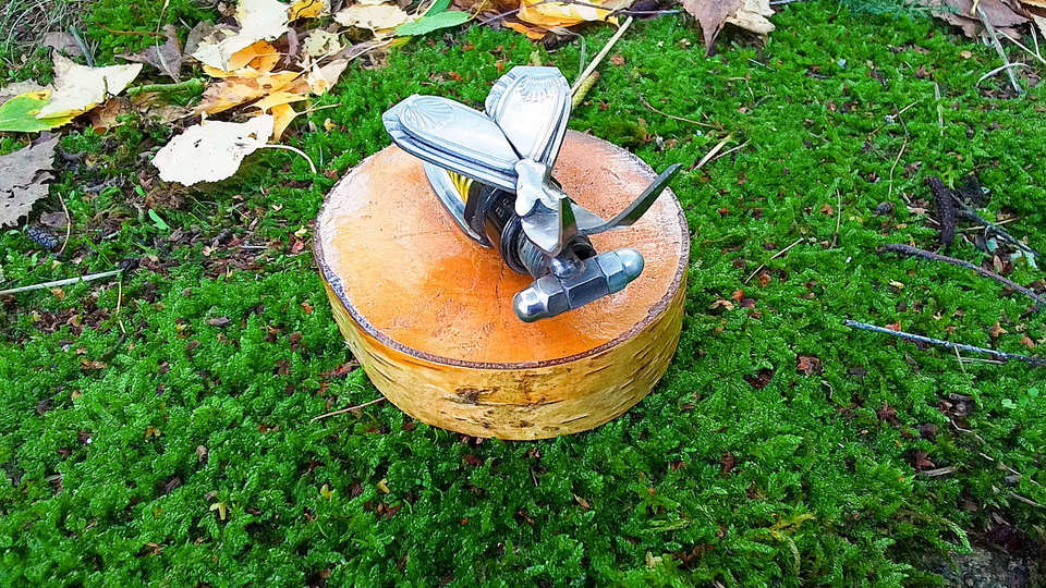 Bee on Natural Wood