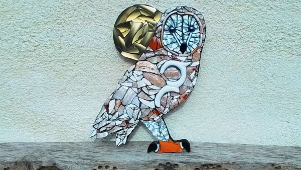 Large Barred Owl (golden moon)