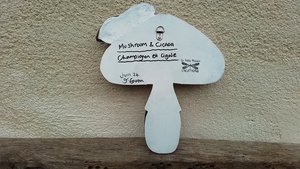 Fly Agaric Mushroom (with Cicada) (SOLD)