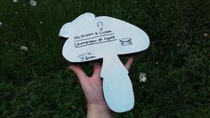 Fly Agaric Mushroom (with Cicada) (SOLD)