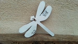 Summer Flowers Dragonfly 