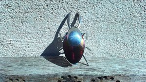 Rainbow Stag Beetle (rainbow abdomen & wingcases) (MADE TO ORDER)
