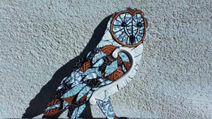 Large Barn Owl (male) (SOLD)