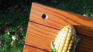Sweetcorn & Pineapple Ceramic Hooks (on wood) (SOLD)