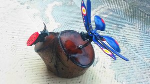 Blue Butterfly & Ladybird Nature Log 