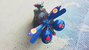 Blue Butterfly & Ladybird Nature Log 