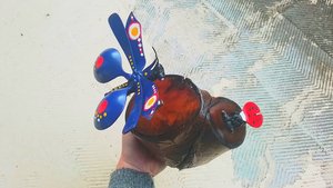 Blue Butterfly & Ladybird Nature Log 