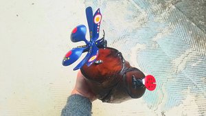 Blue Butterfly & Ladybird Nature Log 