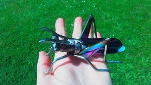 Rainbow Grasshopper (MADE TO ORDER)