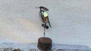 Rainbow Kingfisher on Wooden Stand