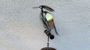 Rainbow Kingfisher on Wooden Stand