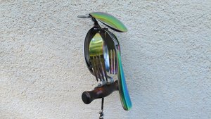 Rainbow Kingfisher on Wooden Stand
