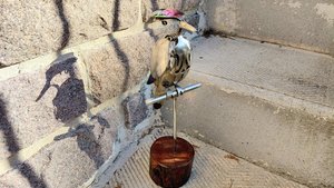 Rainbow Kingfisher (on wood)