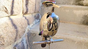 Rainbow Kingfisher (on wood)