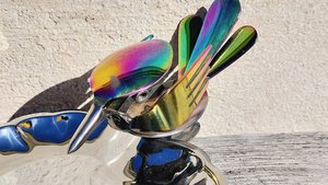 Rainbow Dove on Leaf Dish