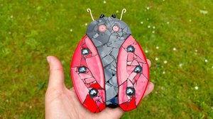 Red Ladybird 