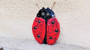 Red Ladybird