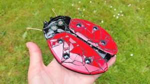 Red Ladybird