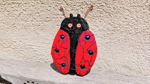Red Ladybird