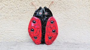 Red Ladybird