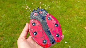 Red Ladybird