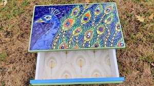 Peacock Bedside Table (with a draw)