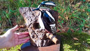 Large Spotted Woodpecker (on tree) (SOLD)
