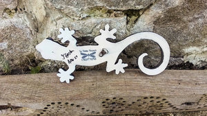Blue & Red Ruby-toed Mini Gecko (SOLD)