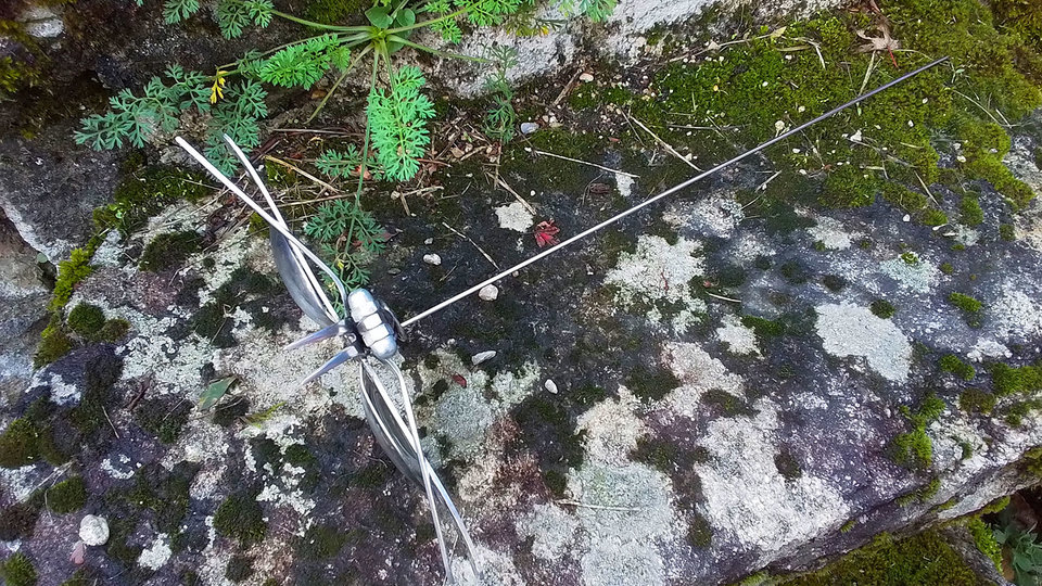 Butterflies on Short Rods
