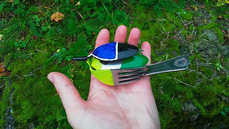 Blue-Tit Birds