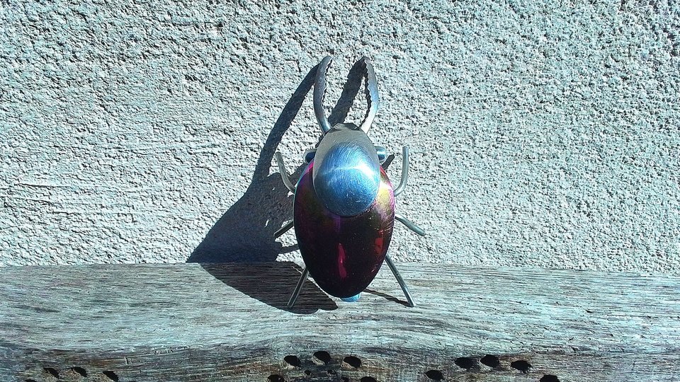 Rainbow Stag Beetle (rainbow abdomen & wingcases) (MADE TO ORDER)
