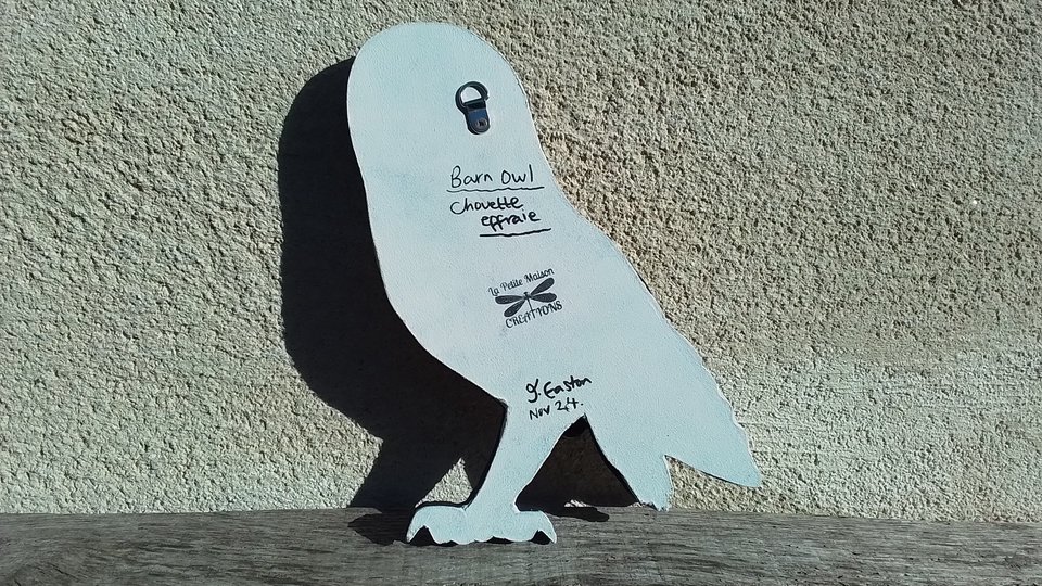 Large Barn Owl (male) (SOLD)