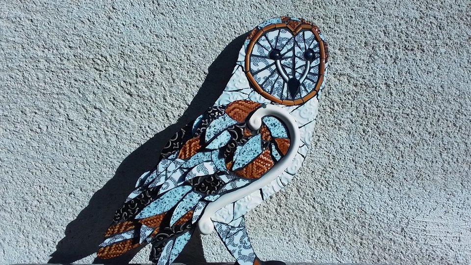 Large Barn Owl (male) (SOLD)