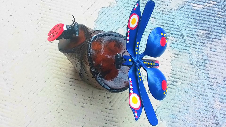 Blue Butterfly & Ladybird Nature Log 