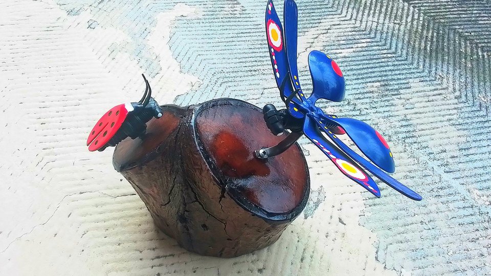 Blue Butterfly & Ladybird Nature Log 