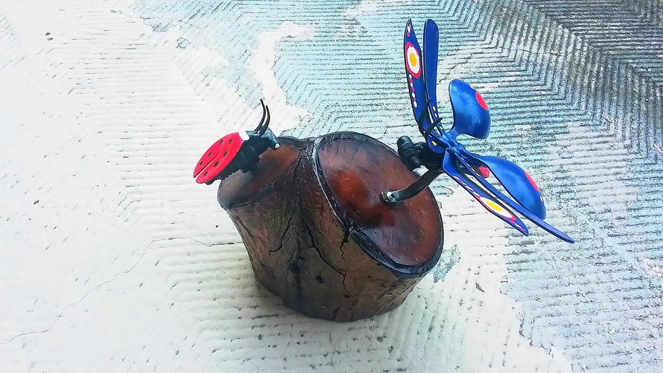 Blue Butterfly & Ladybird Nature Log 