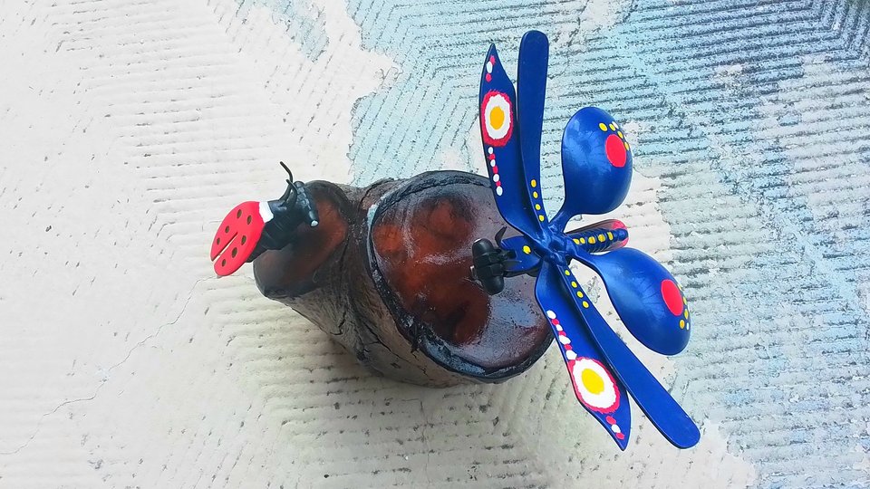 Blue Butterfly & Ladybird Nature Log 