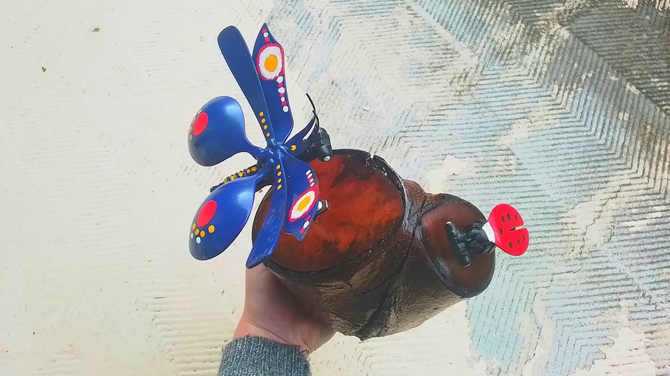 Blue Butterfly & Ladybird Nature Log 