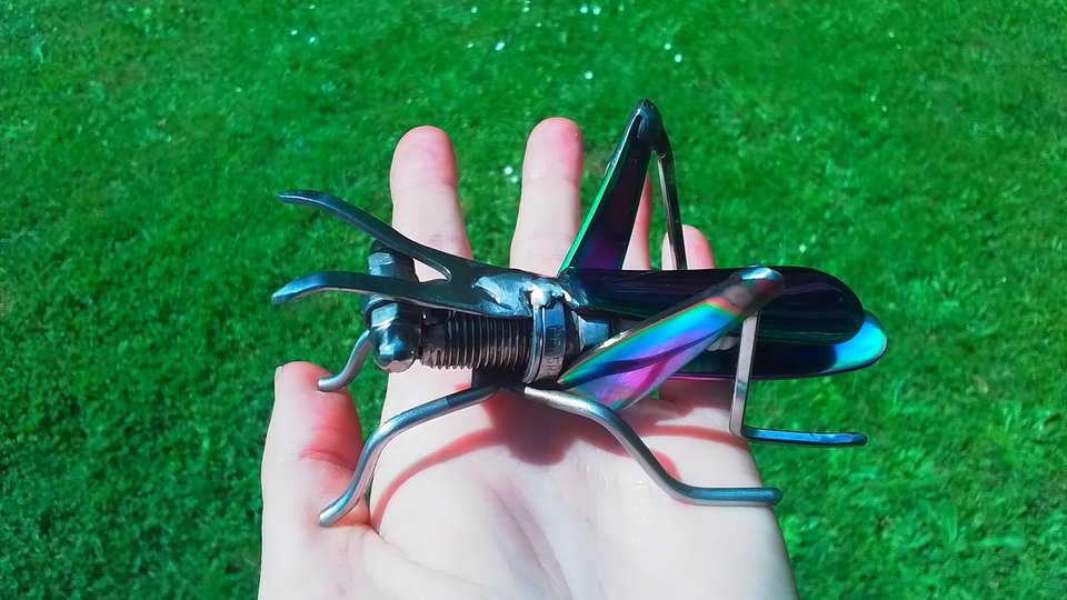 Rainbow Grasshopper (MADE TO ORDER)