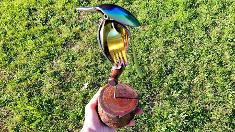 Rainbow Kingfisher on Wooden Stand