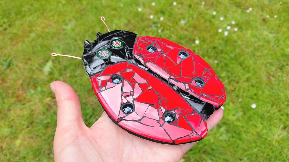 Red Ladybird